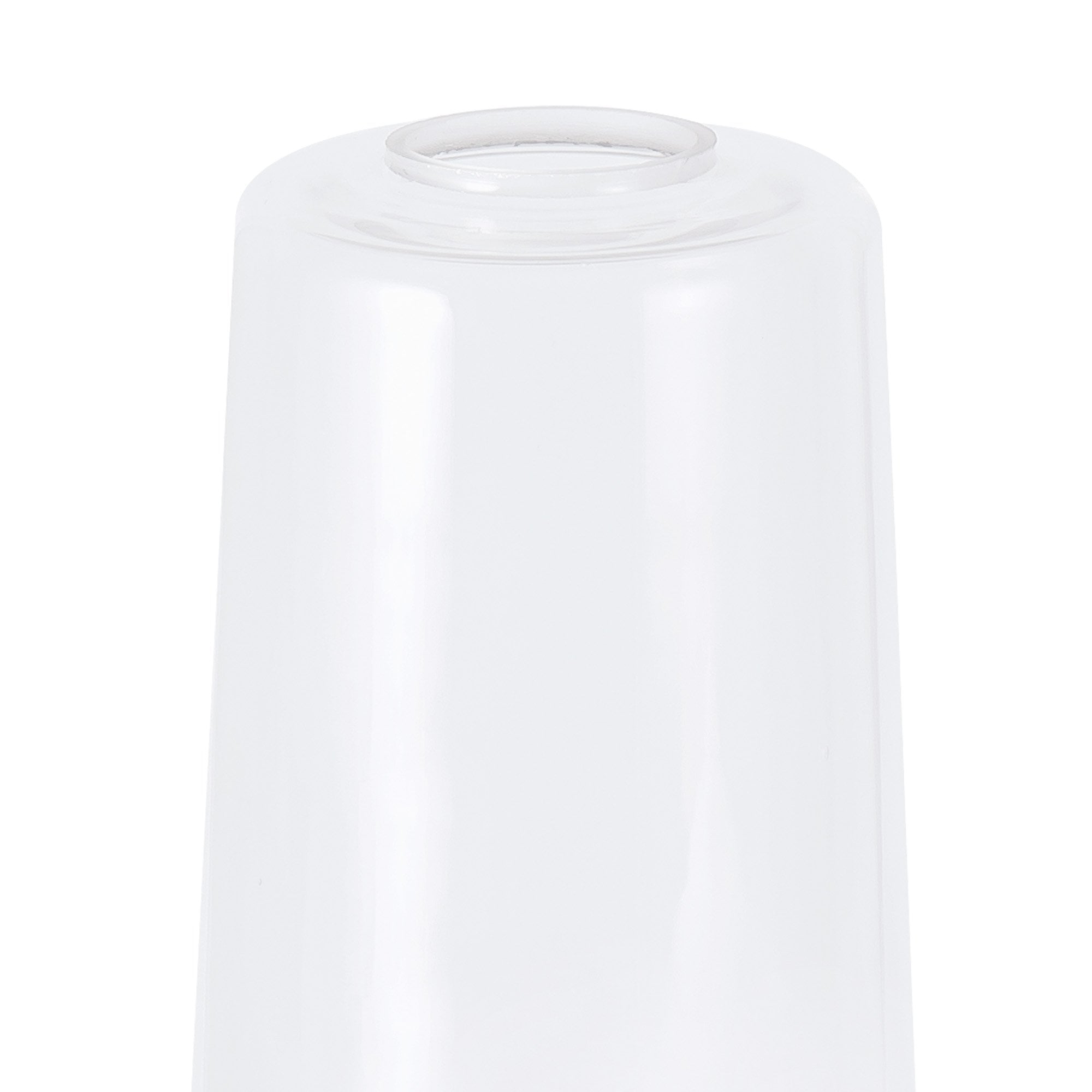 NLK15659 Raibon 1 Light Pendant Satin Nickel Clear