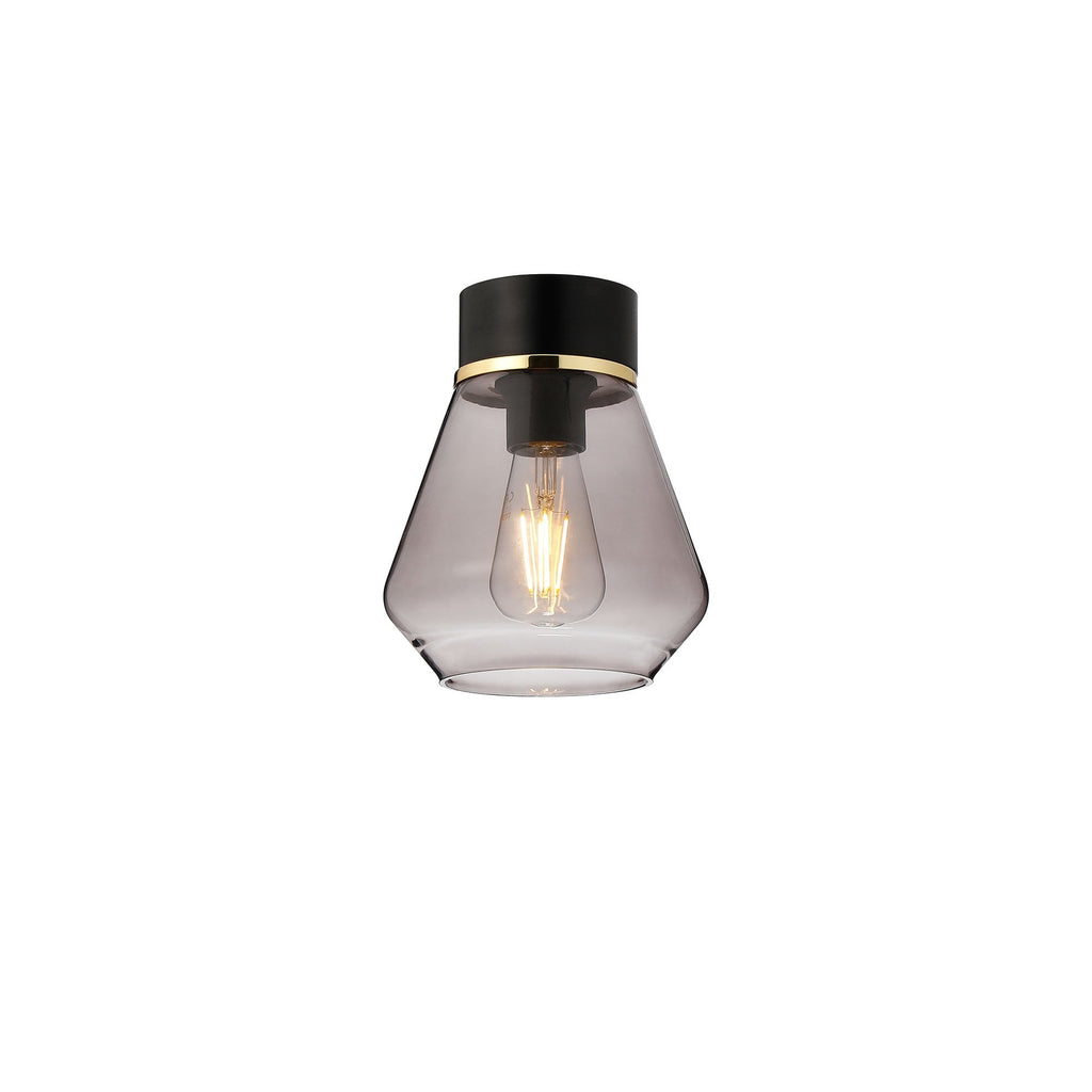 NLK15679 Raibon 1 Light Ceiling Light Matt Black Smoke