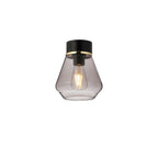 NLK15679 Raibon 1 Light Ceiling Light Matt Black Smoke