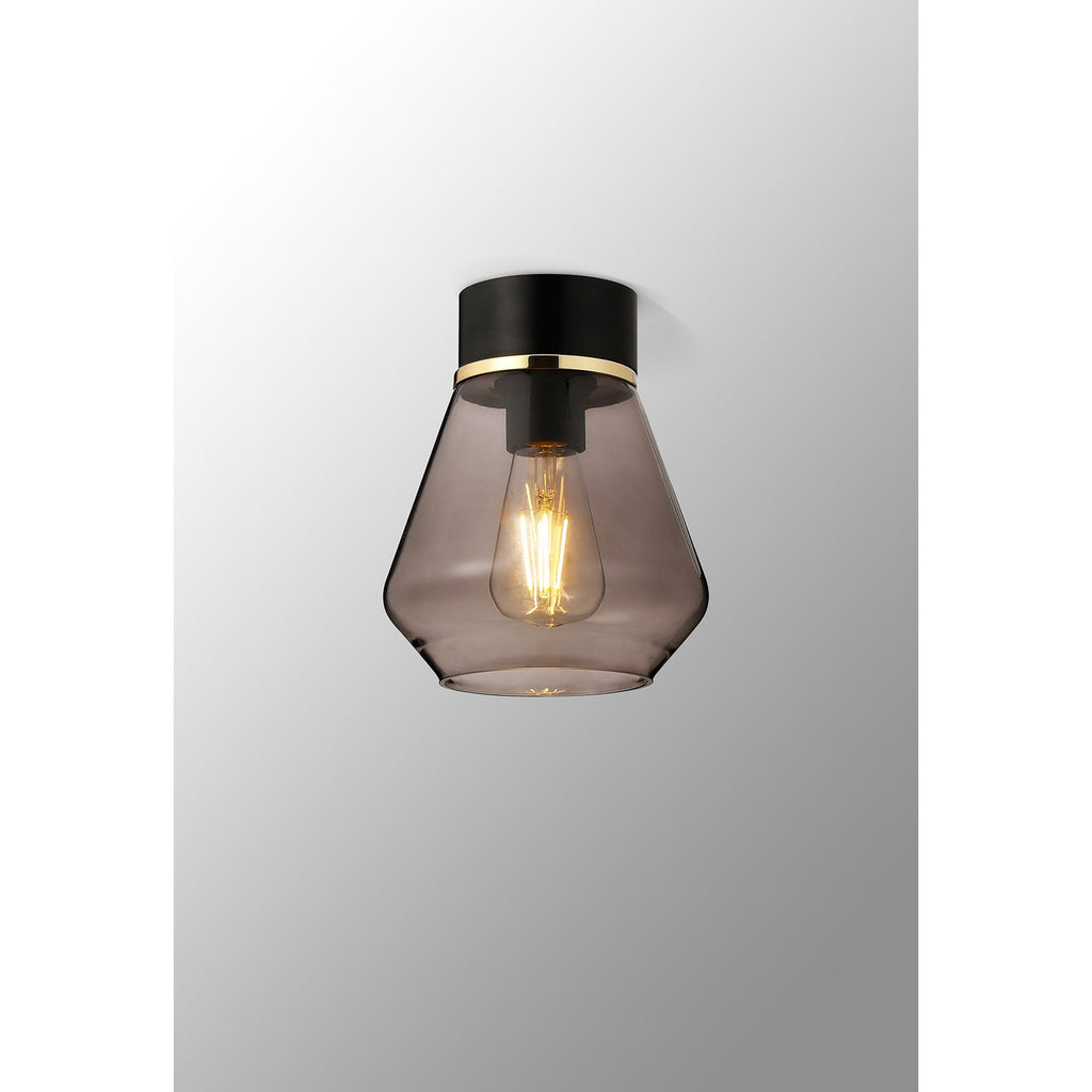NLK15679 Raibon 1 Light Ceiling Light Matt Black Smoke