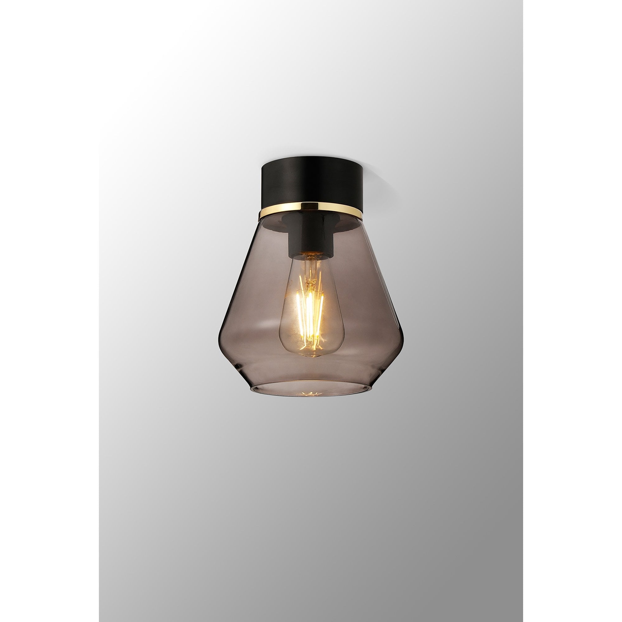 NLK15679 Raibon 1 Light Ceiling Light Matt Black Smoke