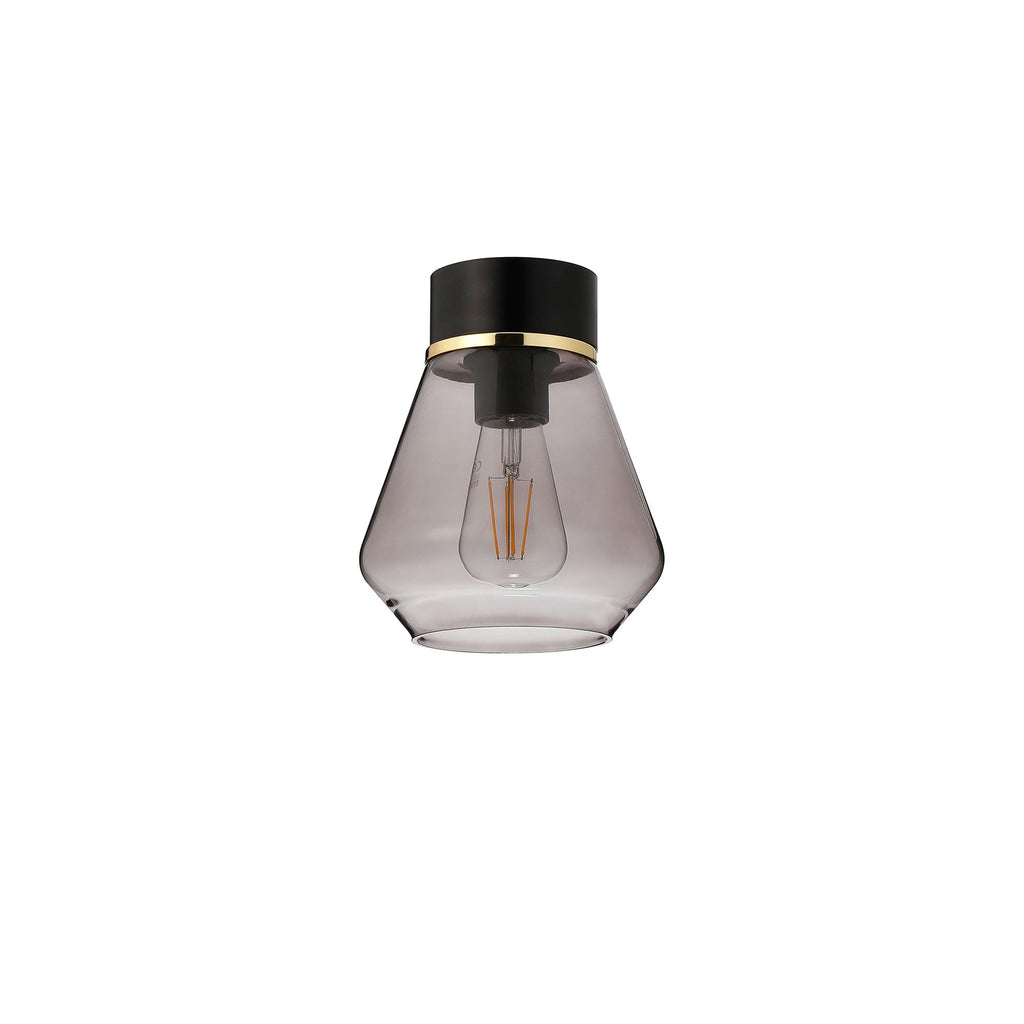 NLK15679 Raibon 1 Light Ceiling Light Matt Black Smoke