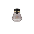 NLK15679 Raibon 1 Light Ceiling Light Matt Black Smoke