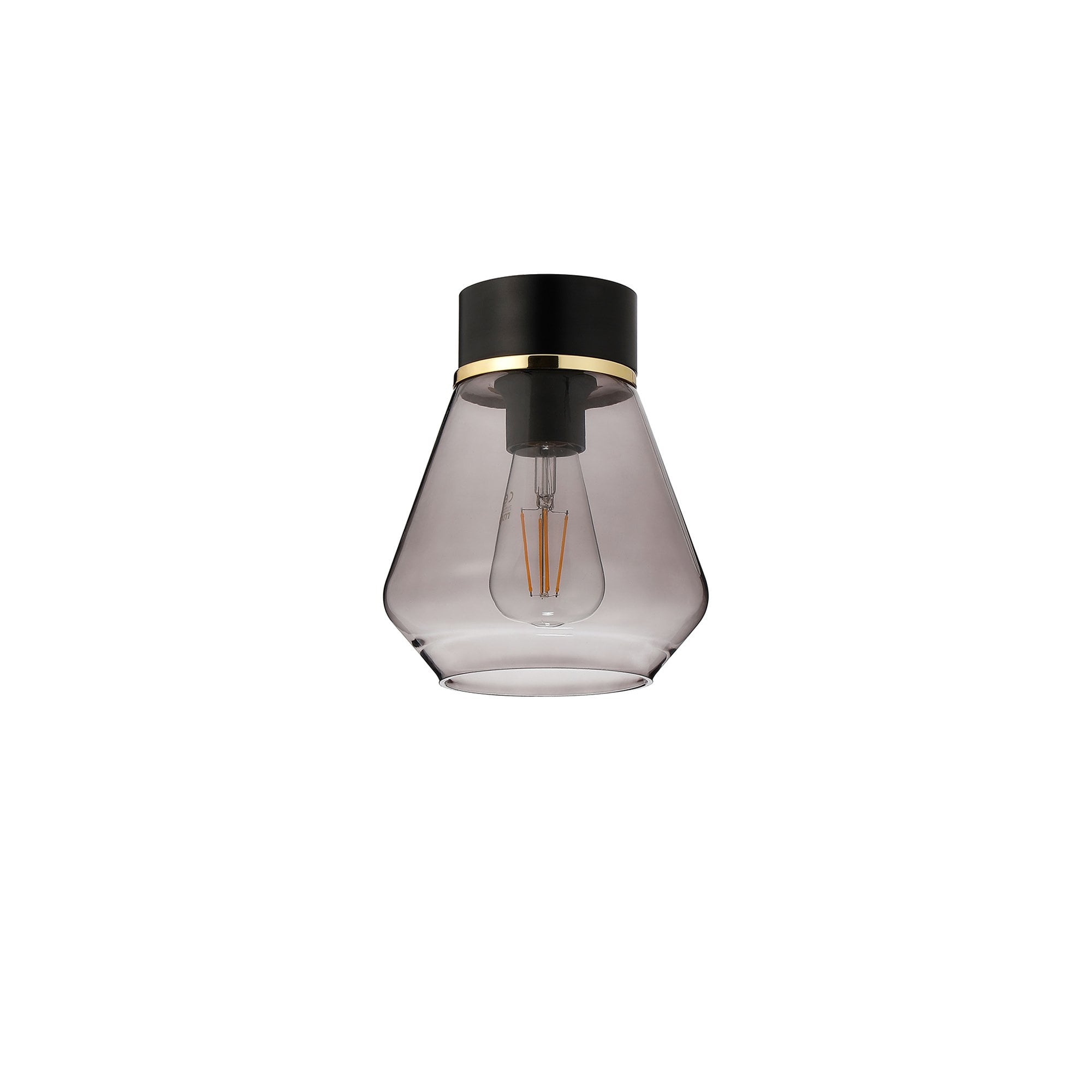 NLK15679 Raibon 1 Light Ceiling Light Matt Black Smoke