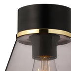 NLK15679 Raibon 1 Light Ceiling Light Matt Black Smoke