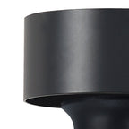 NLK15679 Raibon 1 Light Ceiling Light Matt Black Smoke