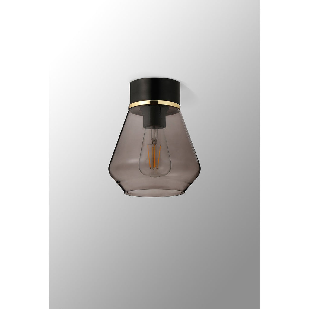 NLK15679 Raibon 1 Light Ceiling Light Matt Black Smoke