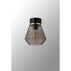 NLK15679 Raibon 1 Light Ceiling Light Matt Black Smoke