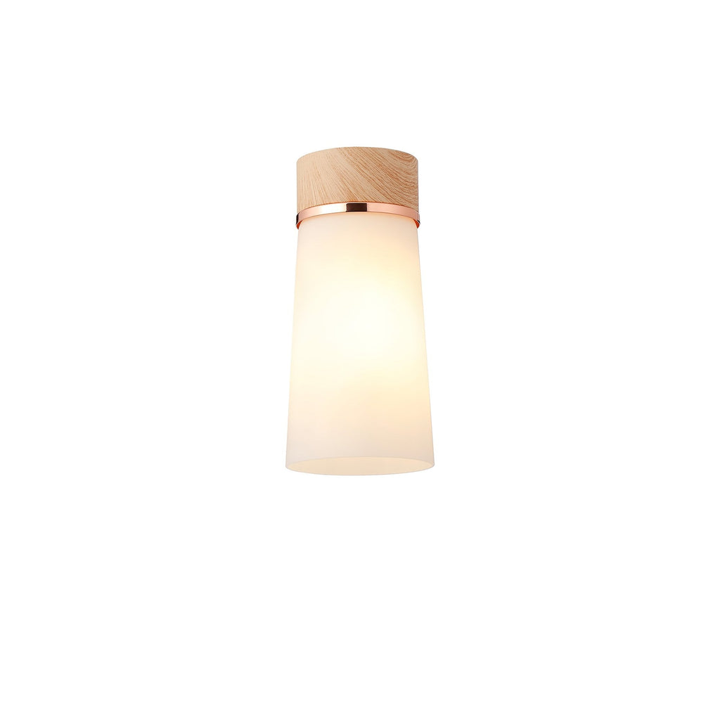 NLK15699 Raibon 1 Light Ceiling Light Teak Opal