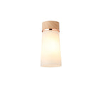 NLK15699 Raibon 1 Light Ceiling Light Teak Opal