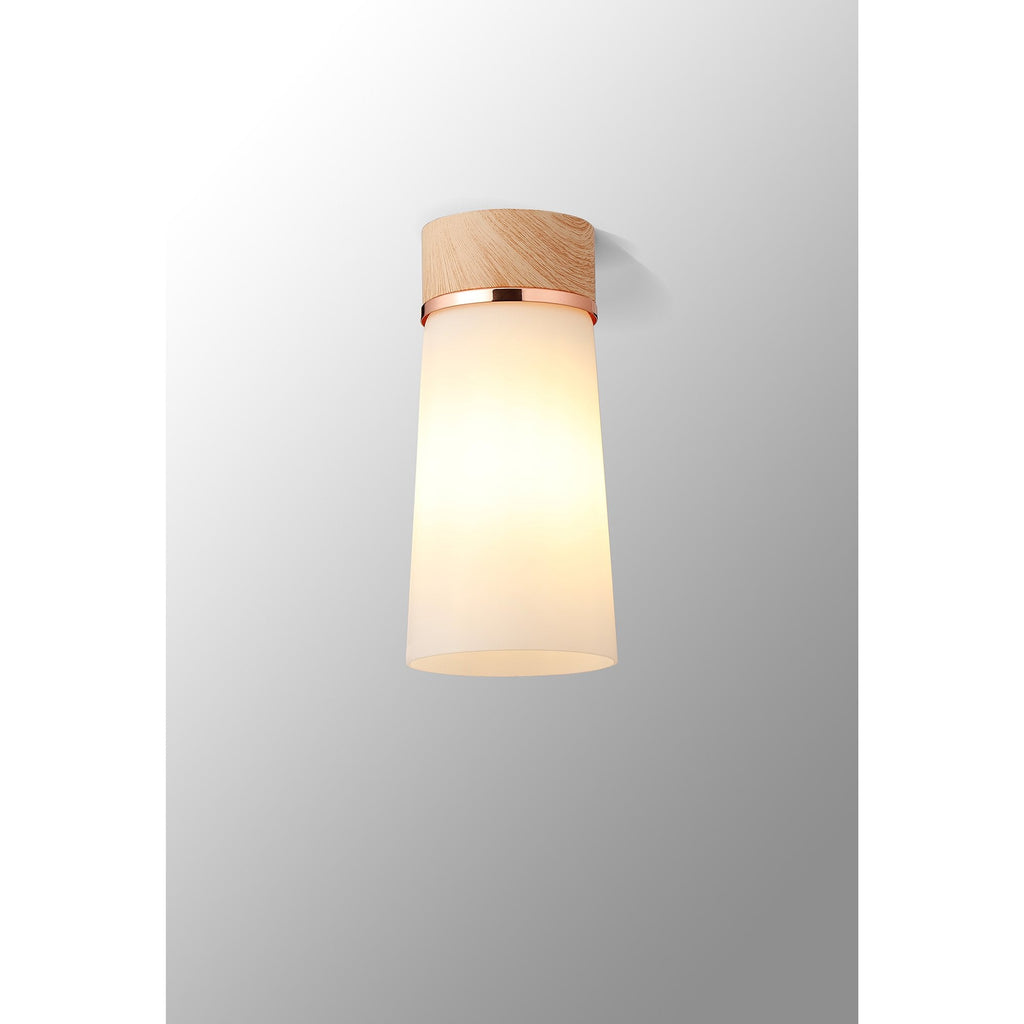 NLK15699 Raibon 1 Light Ceiling Light Teak Opal