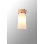 NLK15699 Raibon 1 Light Ceiling Light Teak Opal