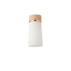 NLK15699 Raibon 1 Light Ceiling Light Teak Opal