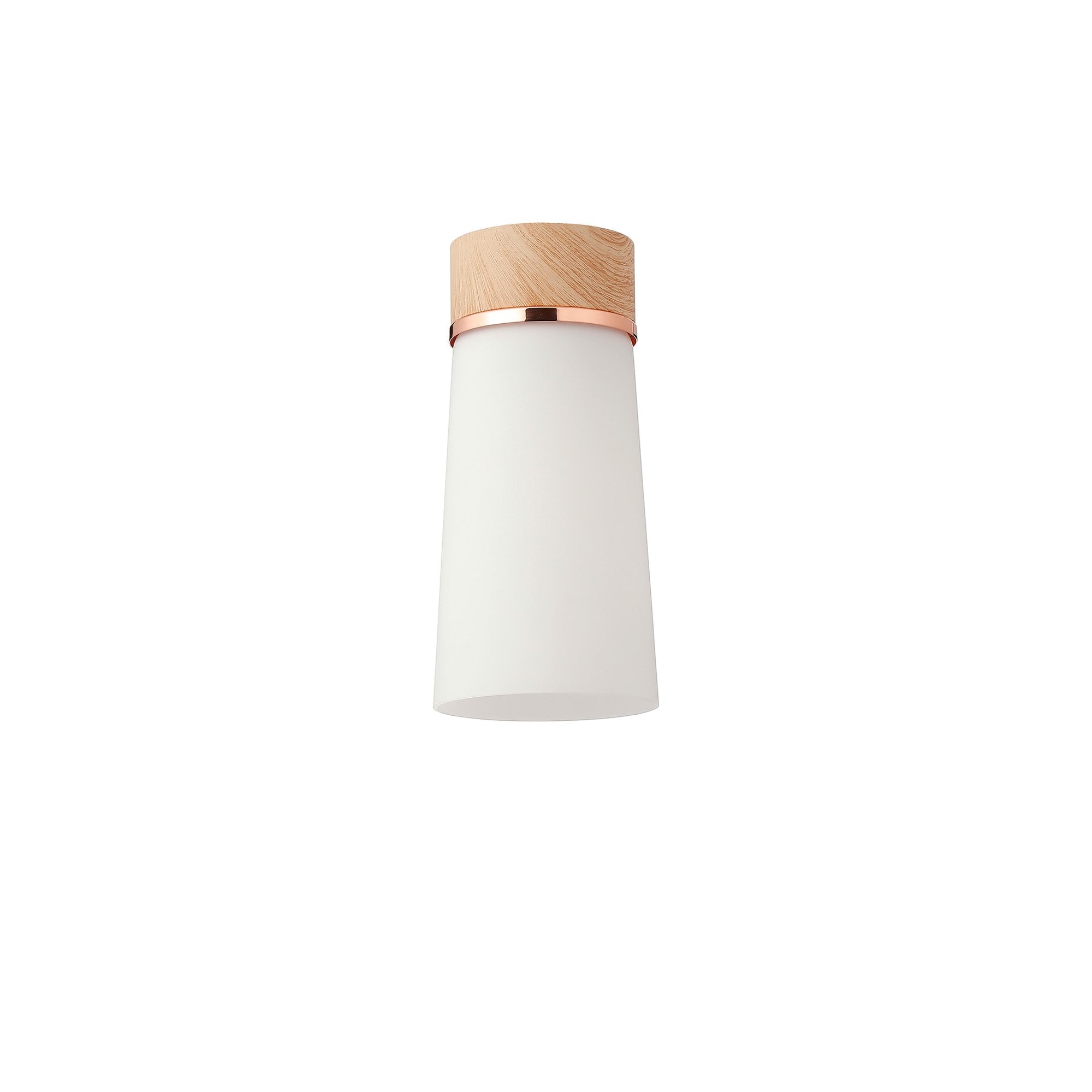 NLK15699 Raibon 1 Light Ceiling Light Teak Opal