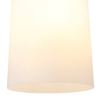NLK15699 Raibon 1 Light Ceiling Light Teak Opal