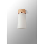 NLK15699 Raibon 1 Light Ceiling Light Teak Opal