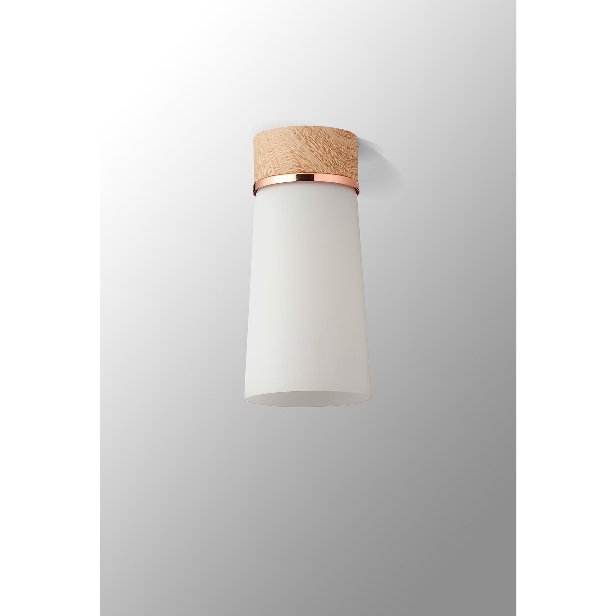 NLK15699 Raibon 1 Light Ceiling Light Teak Opal