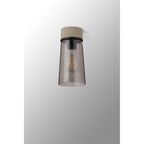 NLK15709 Raibon 1 Light Ceiling Light Concrete Smoke