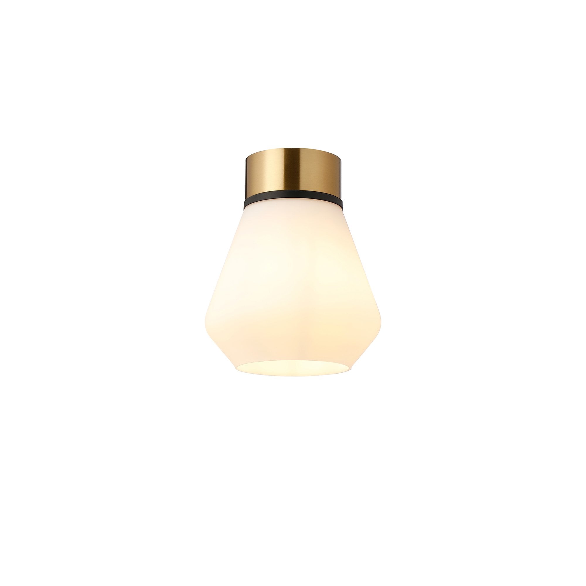 NLK15719 Raibon 1 Light Ceiling Light Brass Opal