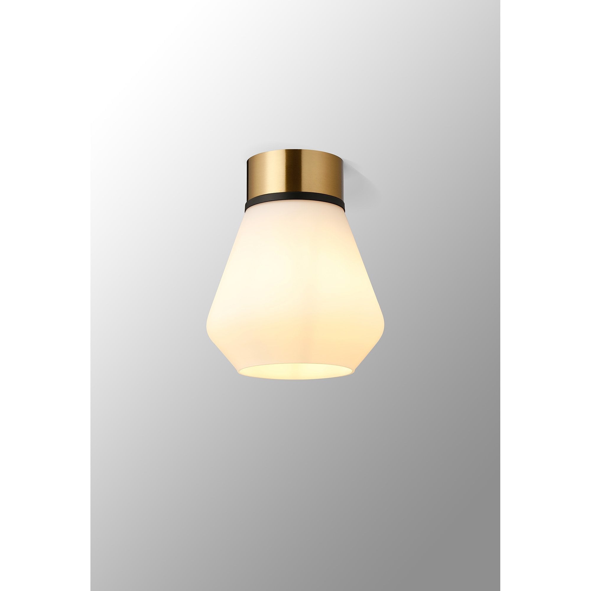 NLK15719 Raibon 1 Light Ceiling Light Brass Opal