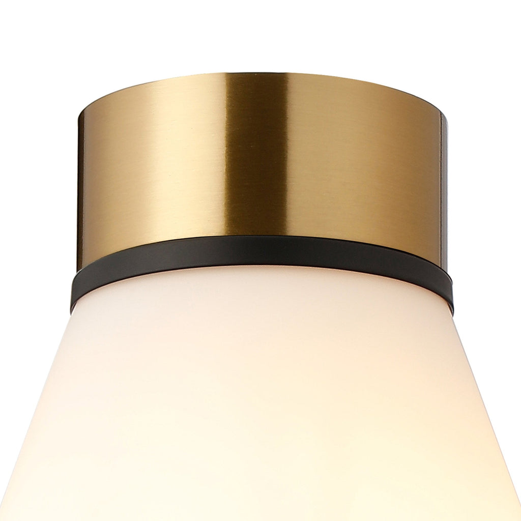 NLK15719 Raibon 1 Light Ceiling Light Brass Opal