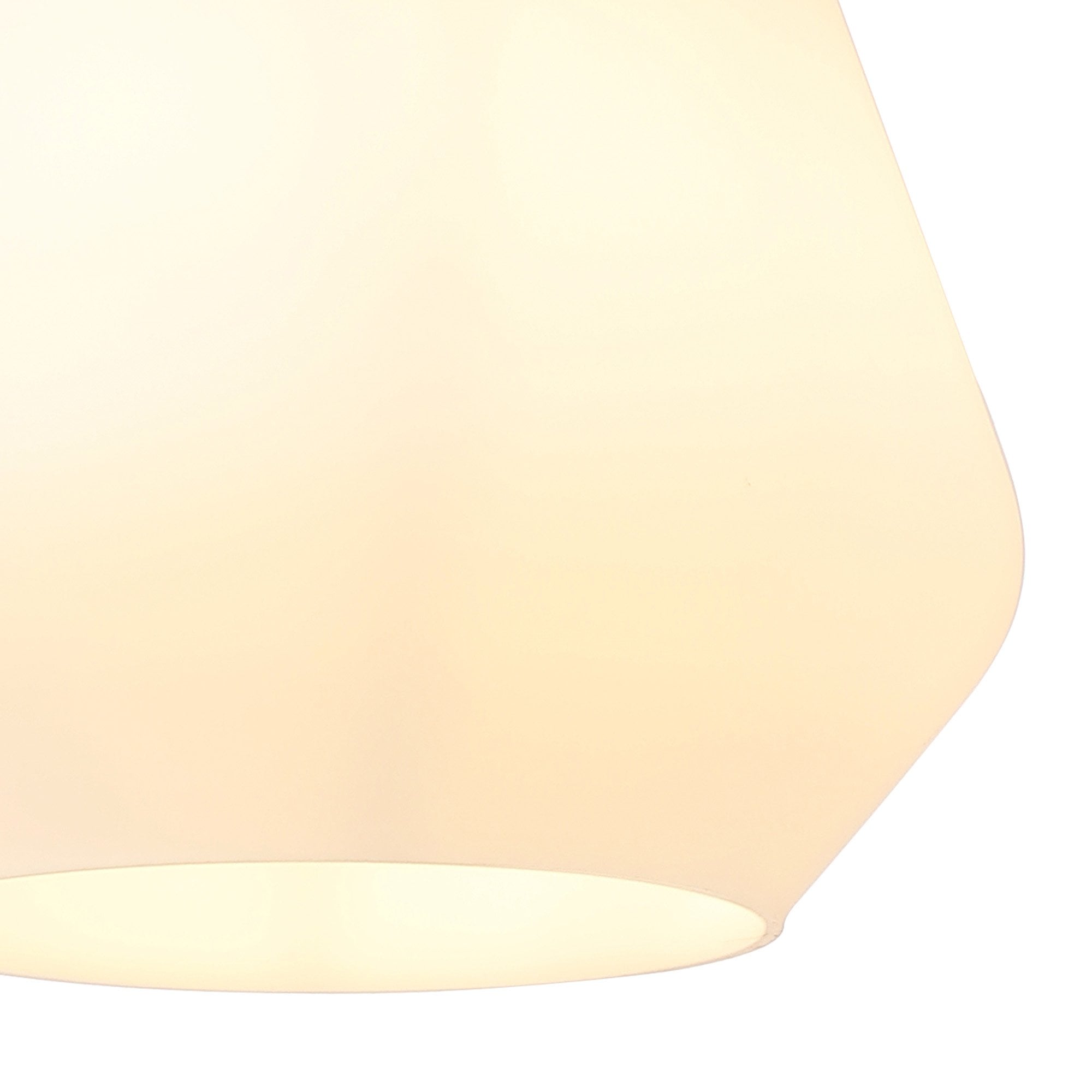 NLK15719 Raibon 1 Light Ceiling Light Brass Opal