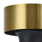 NLK15719 Raibon 1 Light Ceiling Light Brass Opal