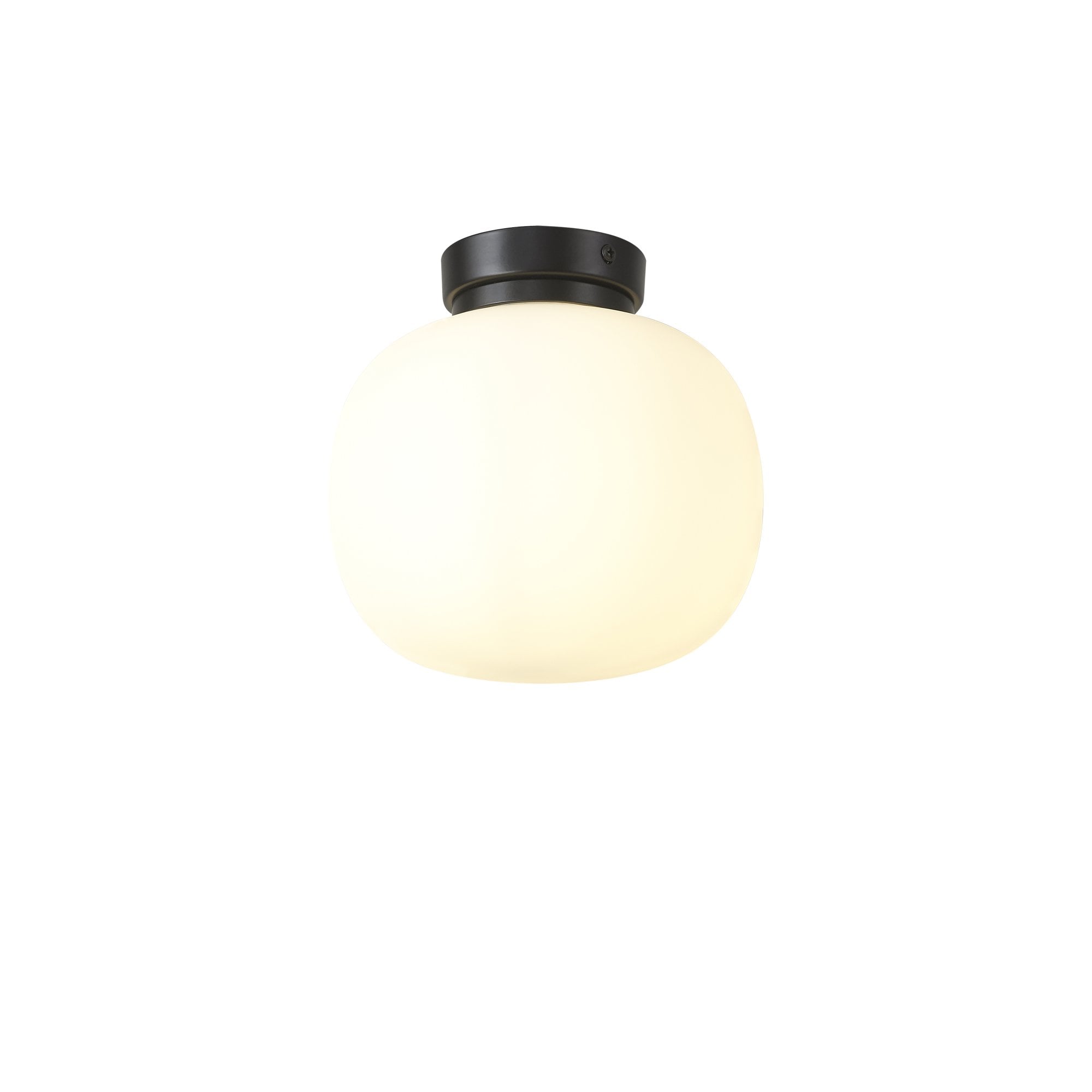 NL86419 Sabus 1 Light Flush Ceiling Light Matt Black Frosted White