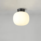 NL86419 Sabus 1 Light Flush Ceiling Light Matt Black Frosted White