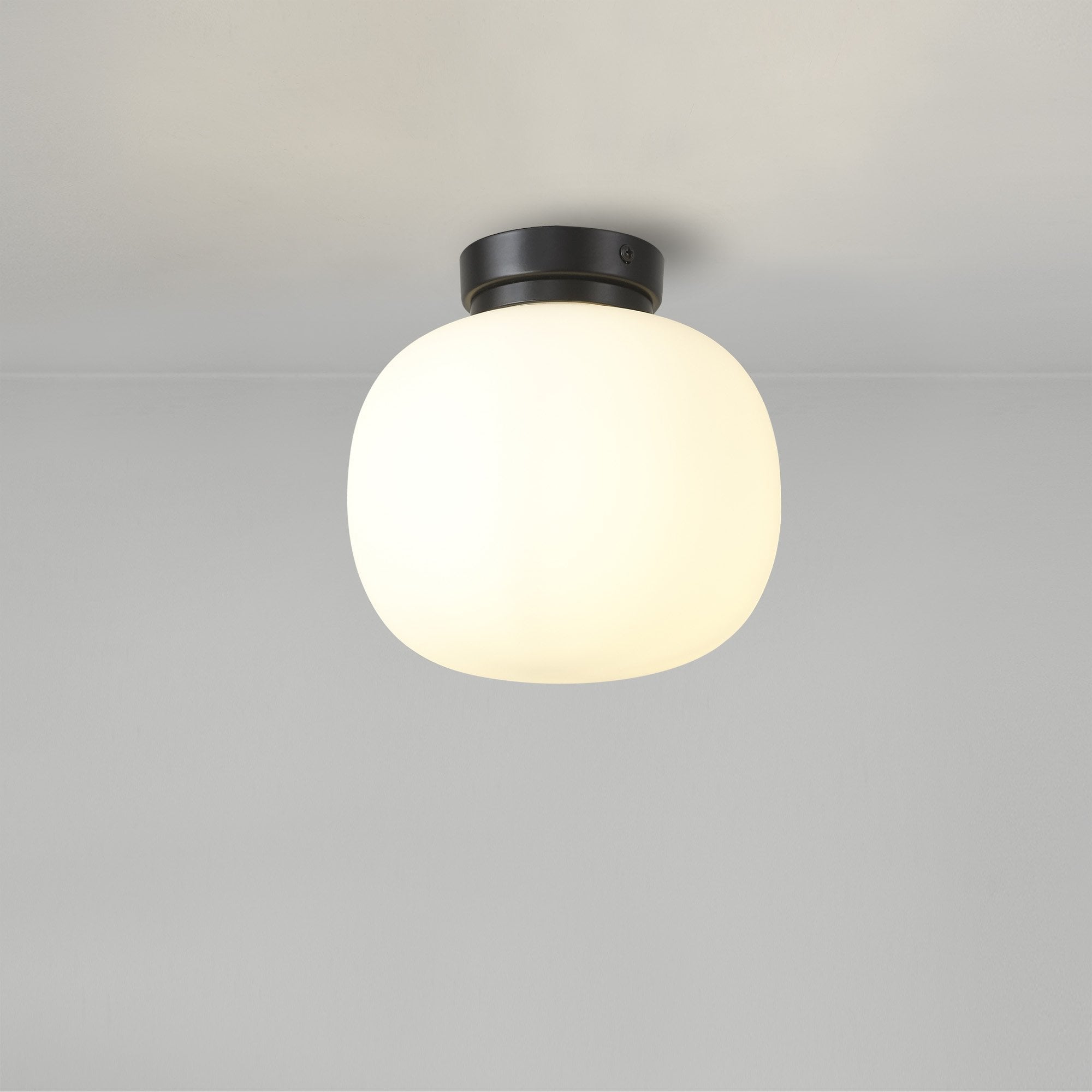 NL86419 Sabus 1 Light Flush Ceiling Light Matt Black Frosted White