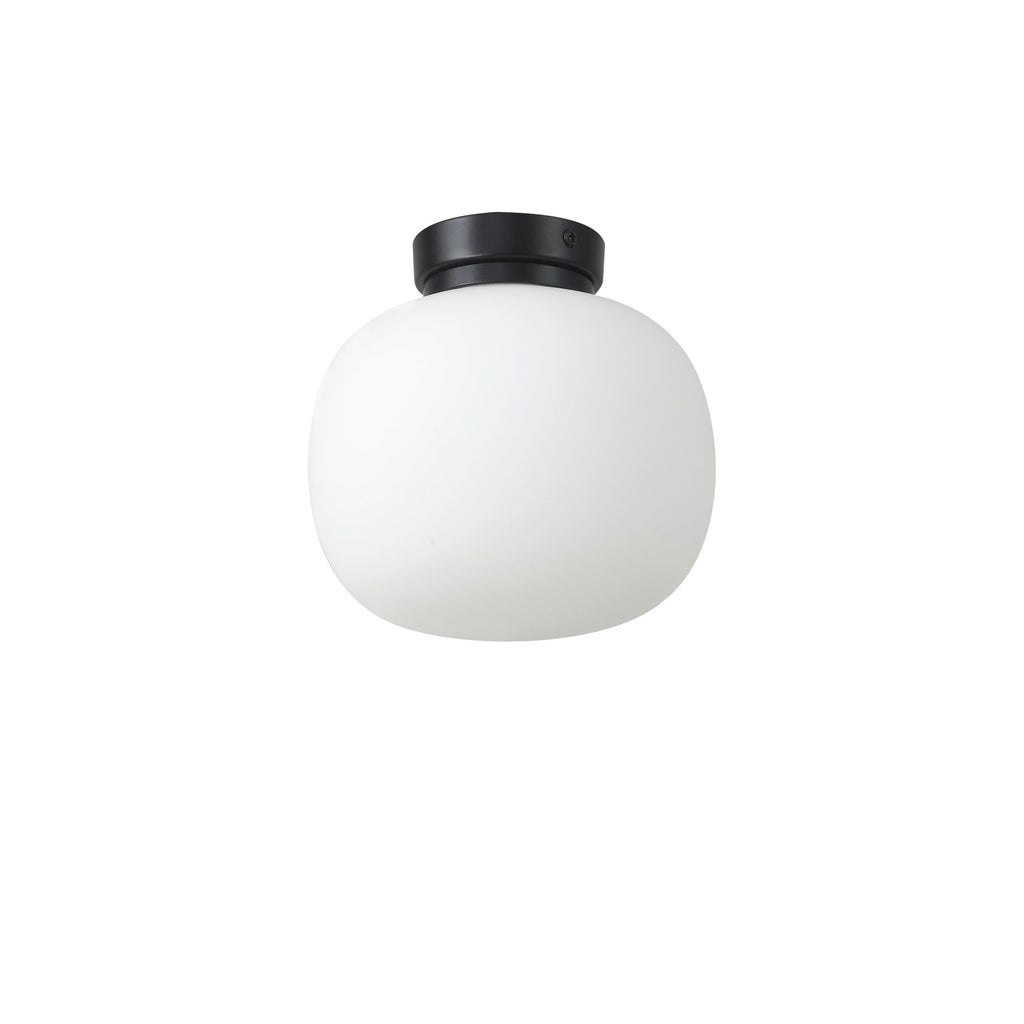 NL86419 Sabus 1 Light Flush Ceiling Light Matt Black Frosted White
