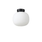 NL86419 Sabus 1 Light Flush Ceiling Light Matt Black Frosted White