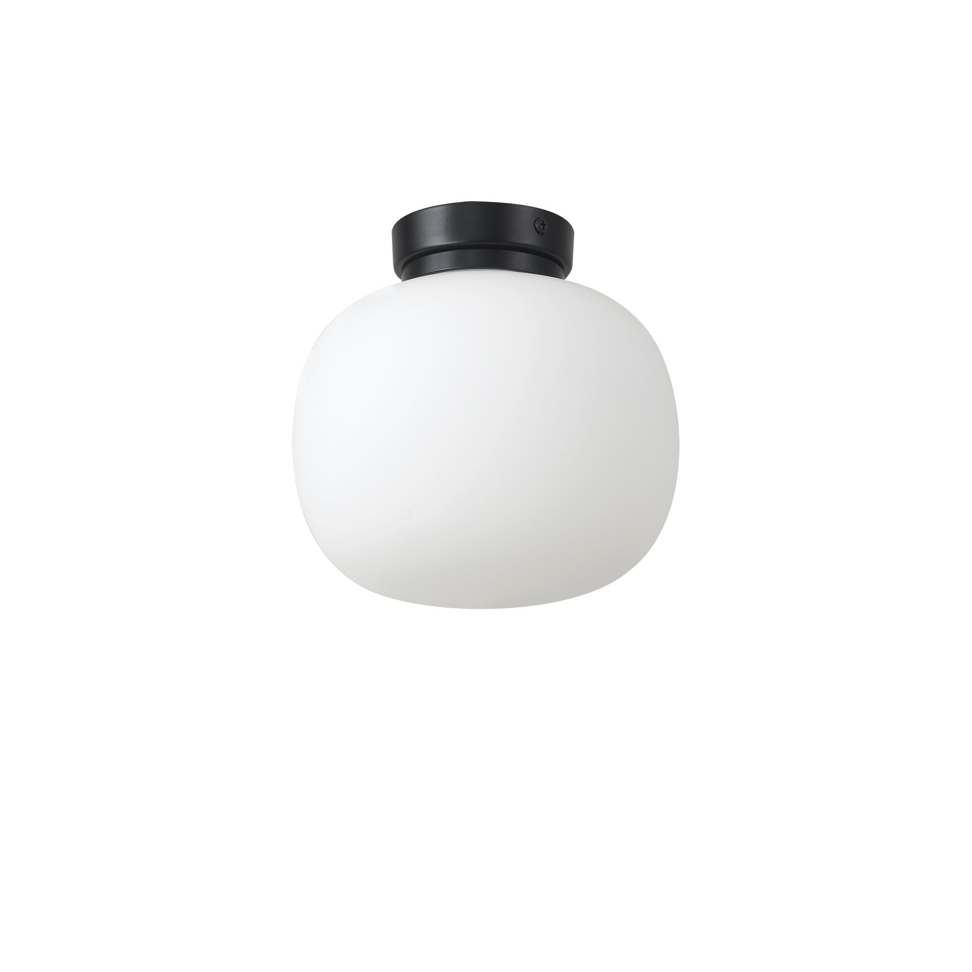 NL86419 Sabus 1 Light Flush Ceiling Light Matt Black Frosted White