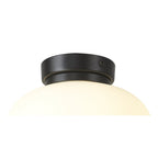 NL86419 Sabus 1 Light Flush Ceiling Light Matt Black Frosted White