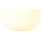 NL86419 Sabus 1 Light Flush Ceiling Light Matt Black Frosted White