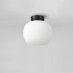 NL86419 Sabus 1 Light Flush Ceiling Light Matt Black Frosted White