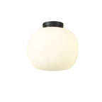 NL86429 Sabus 1 Light Flush Ceiling Light Matt Black Frosted White