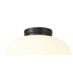 NL86429 Sabus 1 Light Flush Ceiling Light Matt Black Frosted White