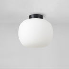 NL86429 Sabus 1 Light Flush Ceiling Light Matt Black Frosted White