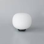 NL86439 Sabus 1 Light Table Lamp Matt Black Frosted White