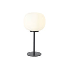 NL86459 Sabus 1 Light Table Lamp Matt Black Frosted White