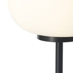 NL86459 Sabus 1 Light Table Lamp Matt Black Frosted White