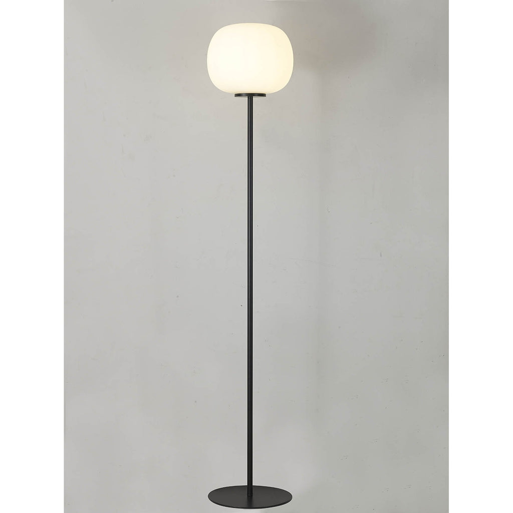 NL86469 Sabus 1 Light Floor Lamp Matt Black Frosted White
