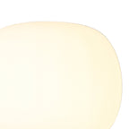 NL86469 Sabus 1 Light Floor Lamp Matt Black Frosted White