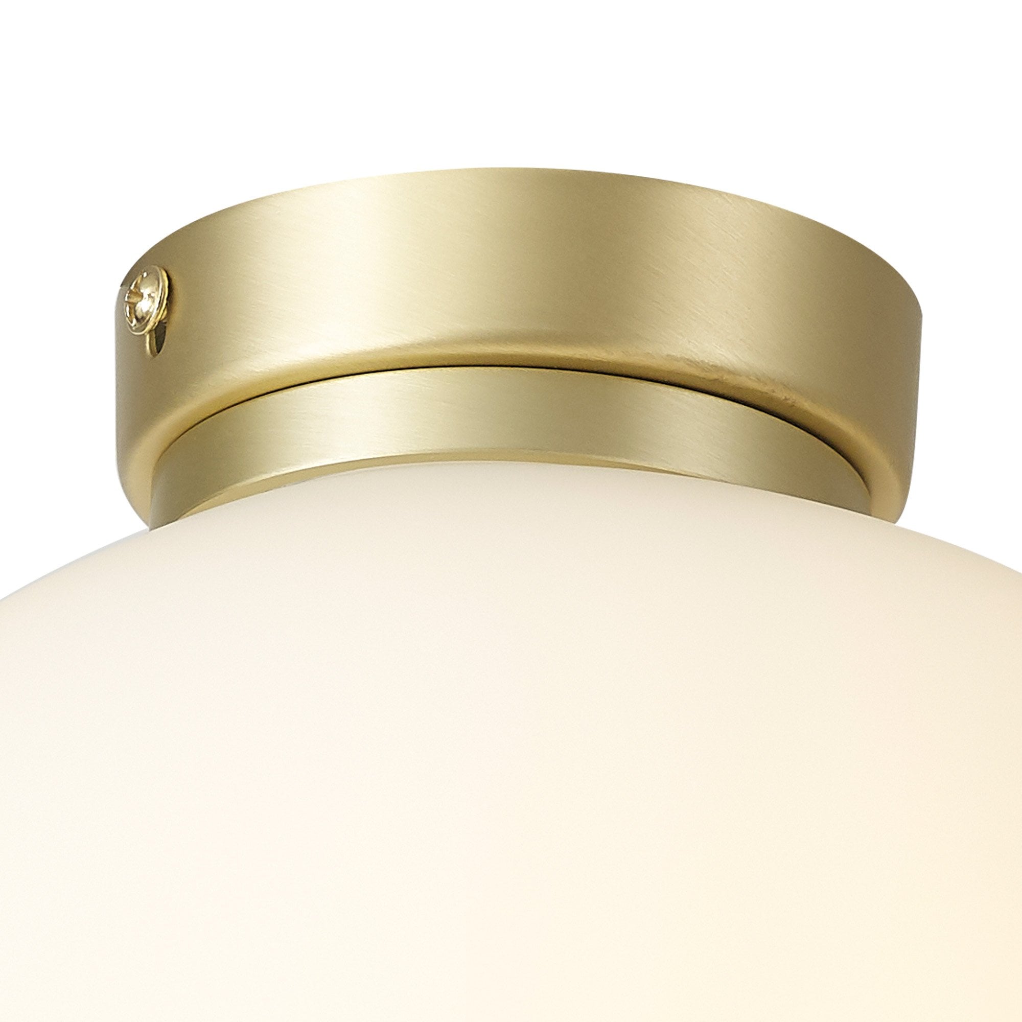 NL86509 Sabus 1 Light Flush Ceiling Light Satin Gold Frosted White