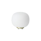 NL86529 Sabus 1 Light Table Lamp Satin Gold Frosted White