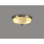 NL86329 Sakkas 2 Light Flush Ceiling Light Satin Nickel Frosted
