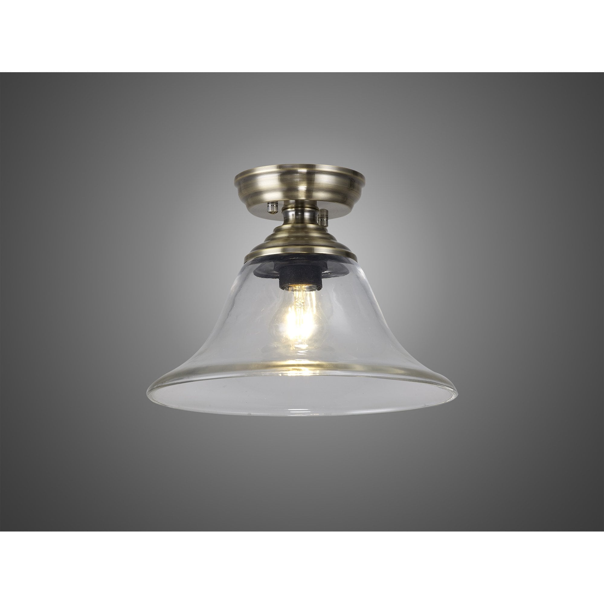 NLK15779 Tabion 1 Light Flush Ceiling Light Antique Brass Clear