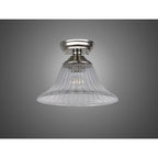 NLK15869 Tabion 1 Light Flush Ceiling Light Polished Nickel Clear