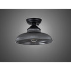 NLK16029 Tabion 1 Light Flush Ceiling Light Matt Black Smoked